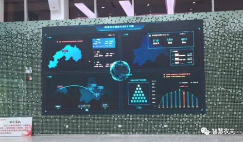 蔬菜大棚变身智慧工厂 计算机软硬件开发赋能现代农业远程管理